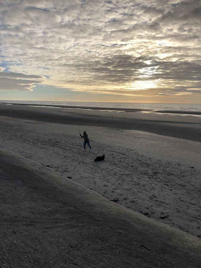 Villa Mowgli De Panne Exteriör bild